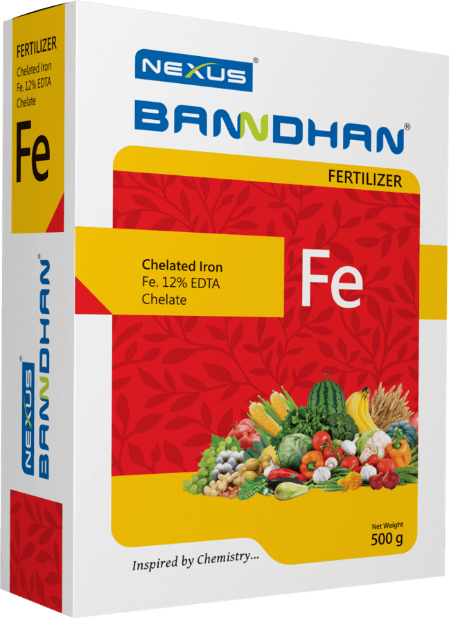 Banndhan Iron Fertilizer