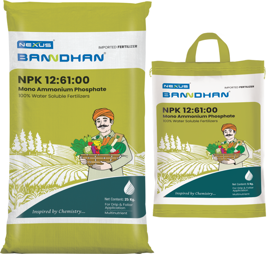 Banndhan 12:61:00 Fertilizer