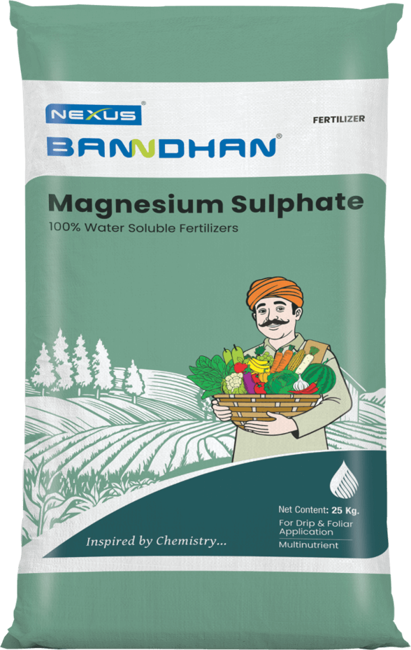 Banndhan Magnesium Sulphate
